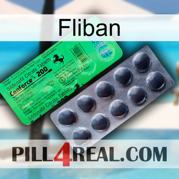 Fliban new04